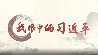 来自中国的启示