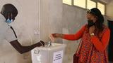 塞内加尔举行地方选举