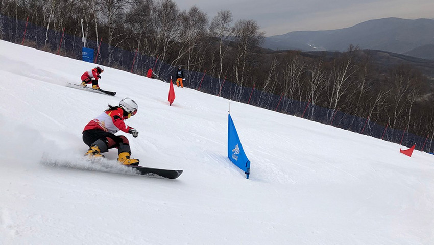 冬奥特刊：执裁冬奥的大学老师