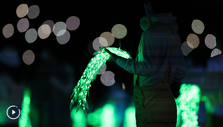 折柳寄情有何深意？