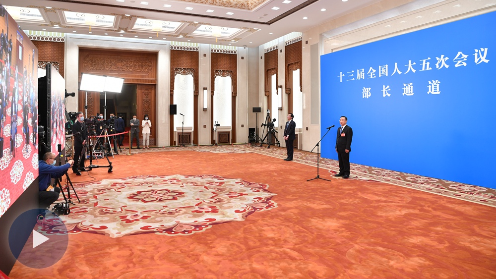 回放：2022年全国两会首场&ldquo;部长通道&rdquo;