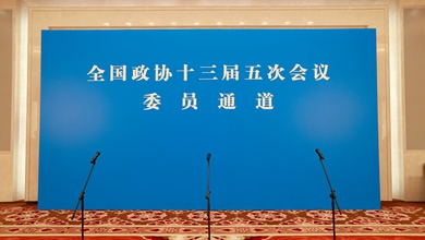 &ldquo;委员通道&rdquo;集体采访活动现场