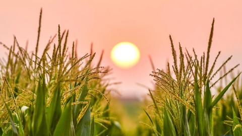 习近平&ldquo;两会时间&rdquo;让世界理解&ldquo;中国之治&rdquo;