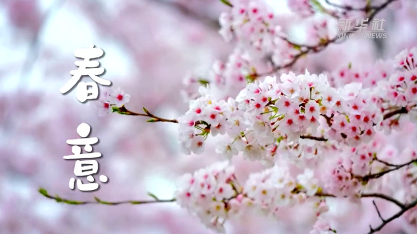 微视频｜春意