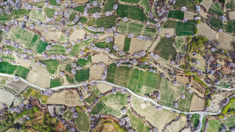 新华全媒+｜开往春天的动车