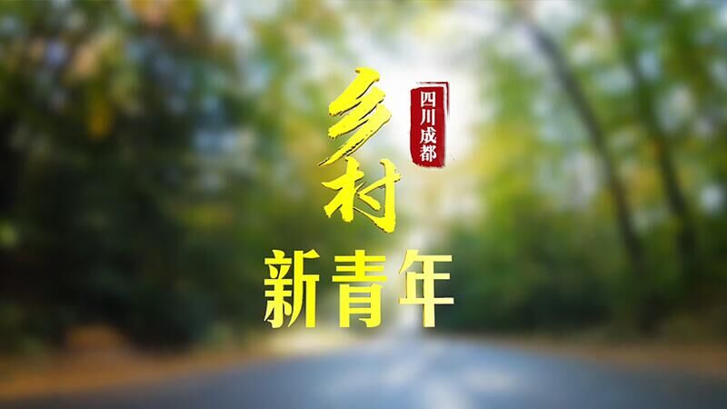 乡村新青年｜传承、创新与先行，三个年轻人的乡村振兴密码