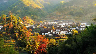 老区新貌丨数说如今浙西南：革命老区奔向共同富裕