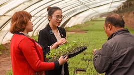 青春，在一线绽放芳华&mdash;&mdash;&ldquo;最美基层高校毕业生&rdquo;速写