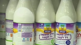 以色列实验室研发生产“人造奶”