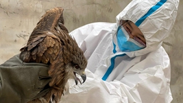 “给动物一个温暖的家,用爱照亮前行的路”