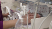 广西母乳库:运营7年 救助1600多名早产儿及患儿