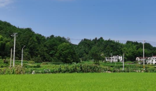 古坊乡新事&mdash;&mdash;大别山革命老区乡村振兴一线见闻