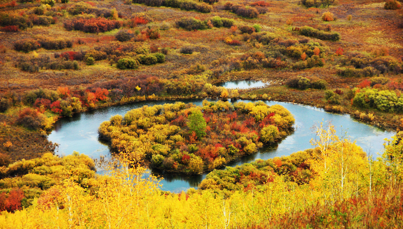 湿地之美丨内蒙古额尔古纳湿地