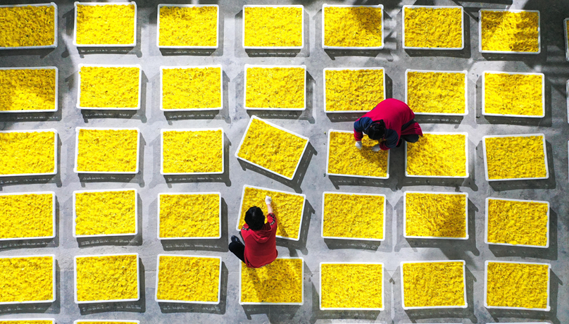 镜观中国&middot;新华社国内新闻照片一周精选