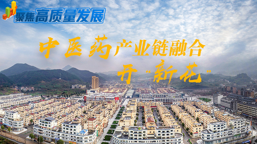 聚焦高质量发展｜浙江磐安：中医药产业链融合开&ldquo;新花&rdquo;