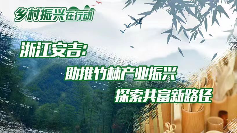 浙江安吉：助推竹林产业振兴 探索共富新路径
