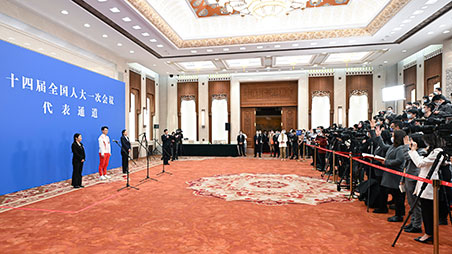 十四届全国人大一次会议第三场&ldquo;代表通道&rdquo;