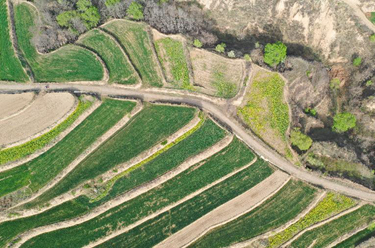 春日大地&ldquo;调色板&rdquo;