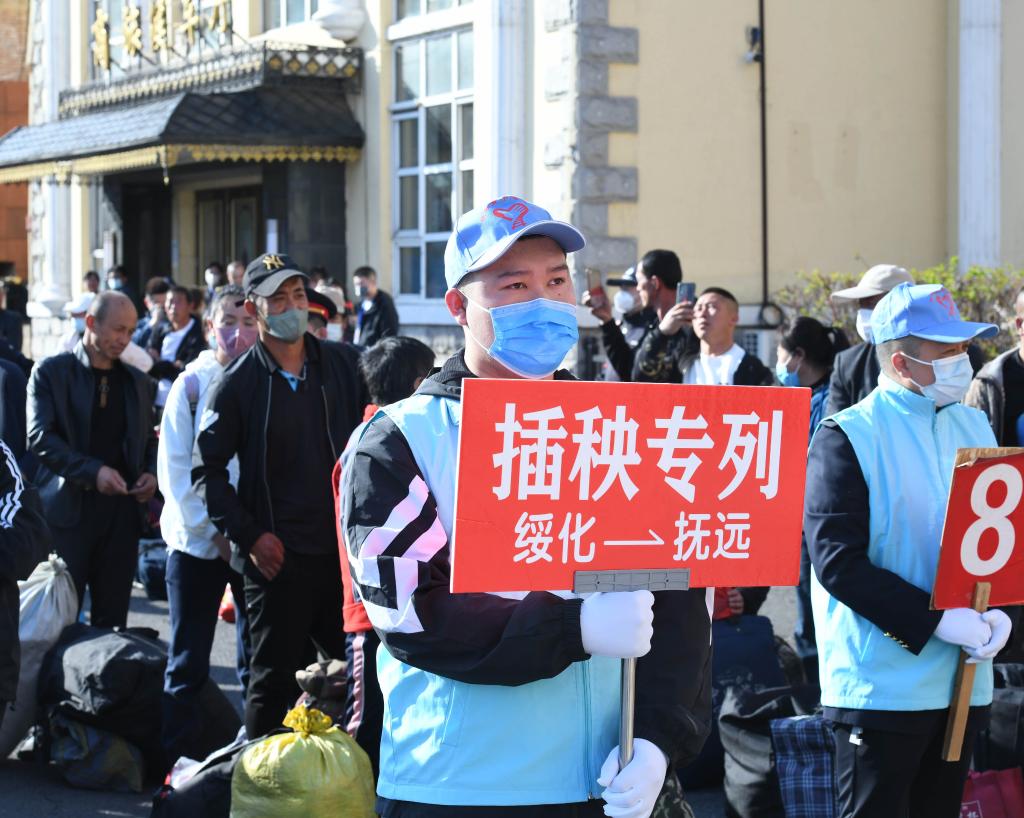 新华全媒+丨“大粮仓”黑龙江省连续24年开行“插秧专列”