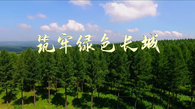 筑牢绿色长城