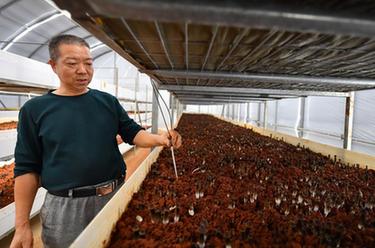 &ldquo;5G智慧小菇房&rdquo;助推乡村产业振兴