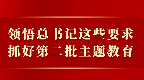 领悟总书记这些要求，抓好第二批主题教育