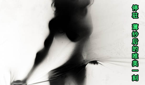停驻唯美一刻 薄纱后的无尽诱惑
