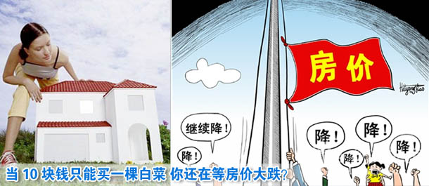 当10块钱只能买一棵白菜 你还在等房价大跌？
