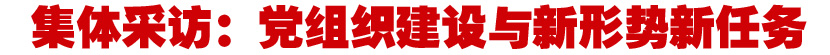 集体采访：党组织建设与新形势新任务