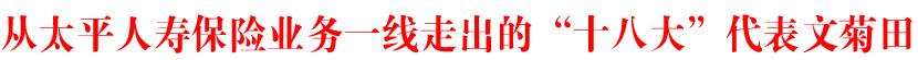 从太平人寿保险业务一线走出的&ldquo;十八大&rdquo;代表文菊田