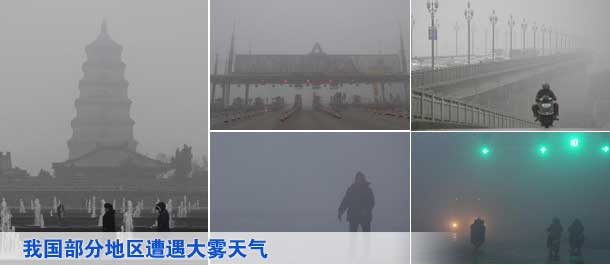 副局长诱奸男网友图片