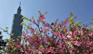 牢牢把握两岸关系和平发展主题