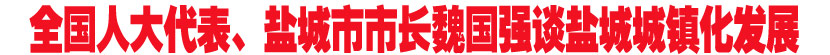 新华网专访新华网专访全国人大代表、盐城市市长魏国强