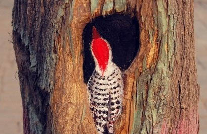 将腐朽变神奇！女孩绘树洞画轰动全国