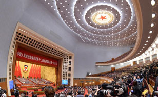 视频回放：全国政协十二届一次会议第二次全体会议