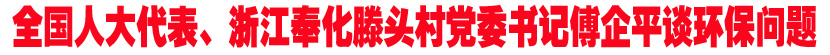 全国人大代表、浙江奉化村村支书傅企平谈环境问题