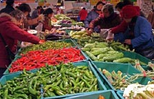 社会商品零售总额