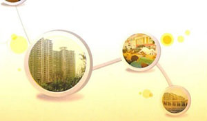 加强和创新社会管理 促进社会和谐稳定