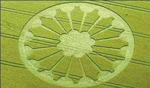 丰富调查研究方式