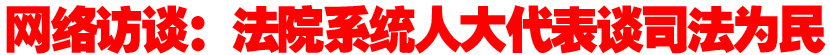 网络访谈：法院系统人大代表谈司法为民