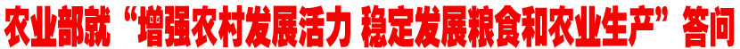 农业部就&ldquo;增强农村发展活力 稳定发展粮食和农业生产&rdquo;答问