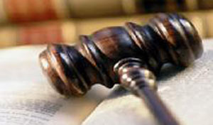 抓紧相关法律法规的调整、修订