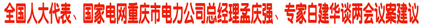 全国人大代表、国家电网重庆市电力公司总经理孟庆强、专家白建华谈两会议案建议