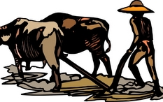 新型农业经营体系