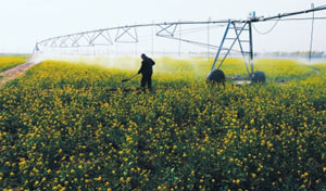 今年的目标是粮食产量达到10500亿斤