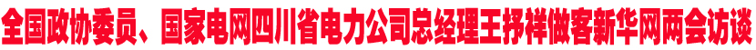 全国政协委员、国家电网四川省电力公司总经理王抒祥做客新华网两会访谈