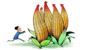 台湾投资大陆农业的两个特点