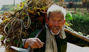 切实保护好农民权益