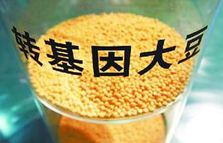 转基因生物技术