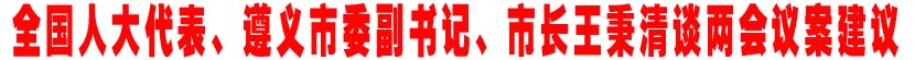 全国人大代表、遵义市副书记、市长王秉清谈两会议案建议